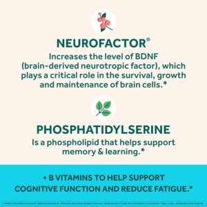 NEURIVA Plus Brain Supplement for Memory
