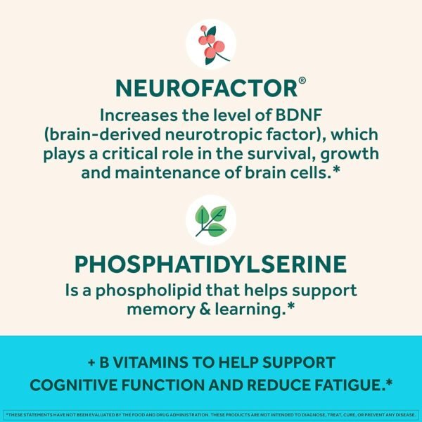 NEURIVA Plus Brain Supplement for Memory