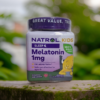 Natrol kids gummies
