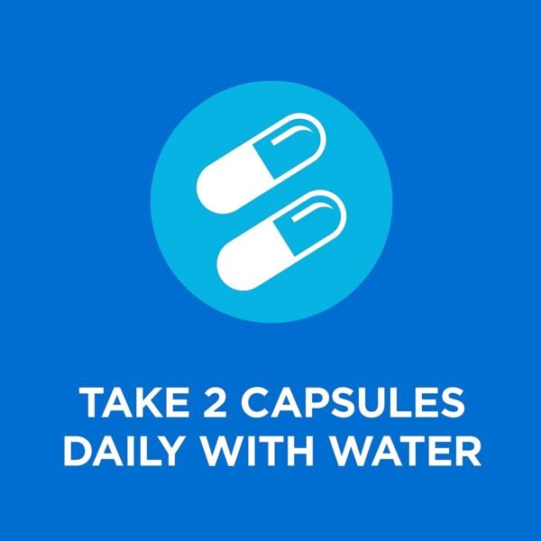 OLLY Lovin Libido 40 Capsules
